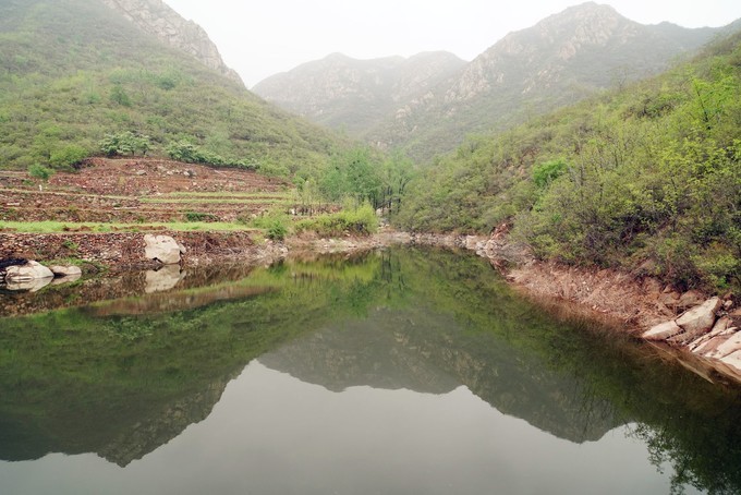 服务贸易中的技术性贸易壁垒及跨越途径-十大足球赌注软件(图3) 足球赌注软件