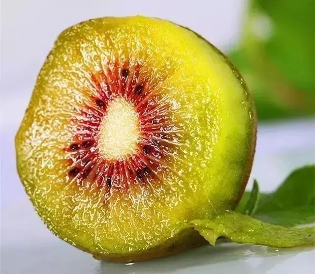 【足球赌注软件】浅析当前我国本土零售业发展的几个问题(图3) 足球赌注软件APP