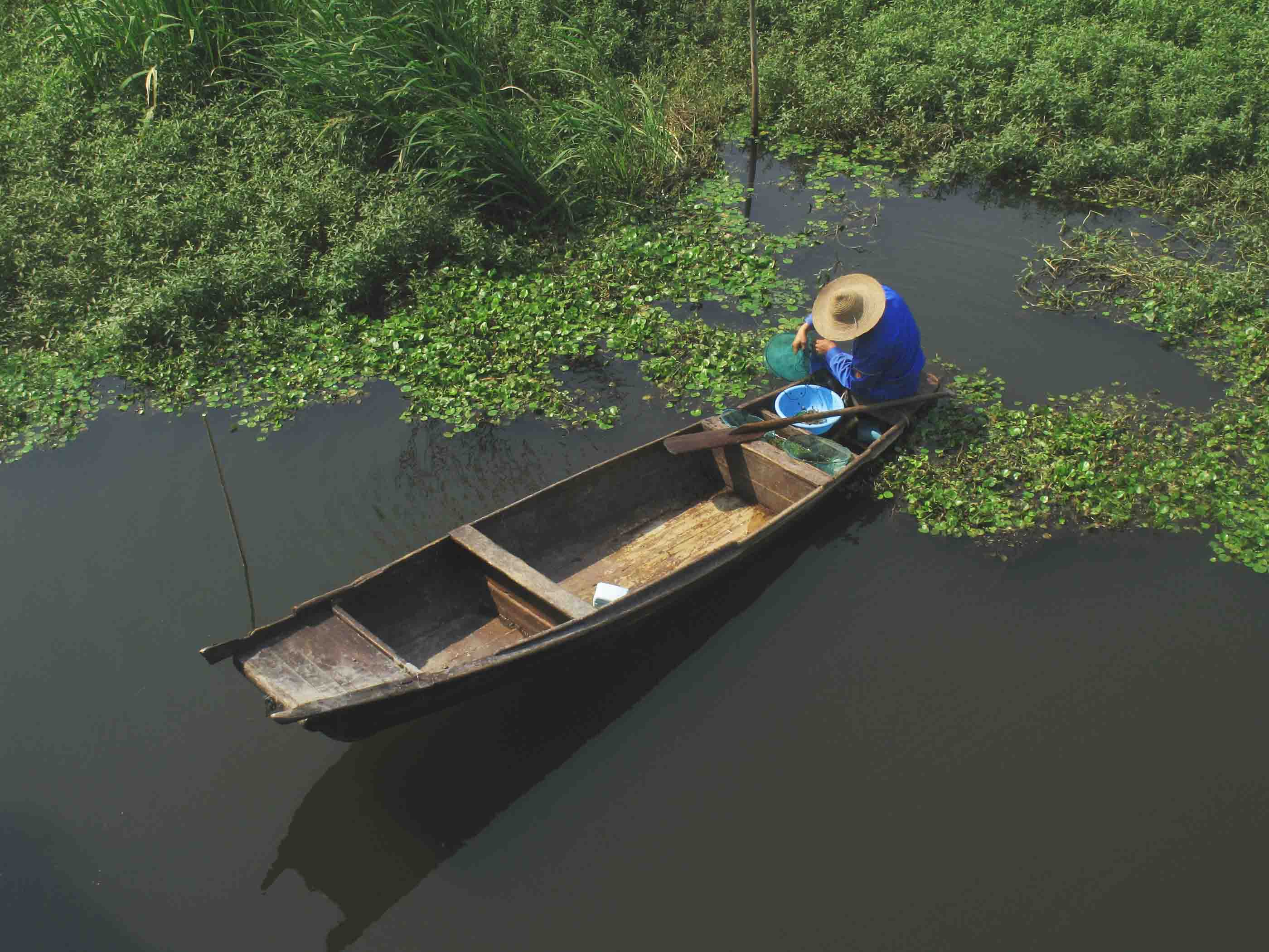 足球赌注软件APP