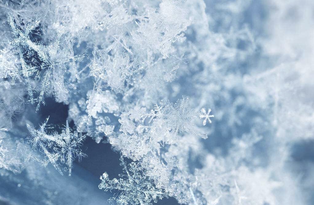 足球赌注软件APP