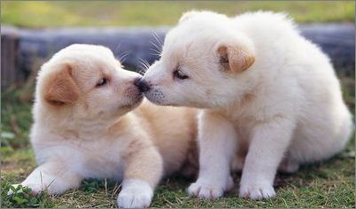 挪威杯: 罗森博格 VS 奥德格伦兰比分2:2双方握手言和:十大足球赌注软件(图3) 十大足球赌注软件