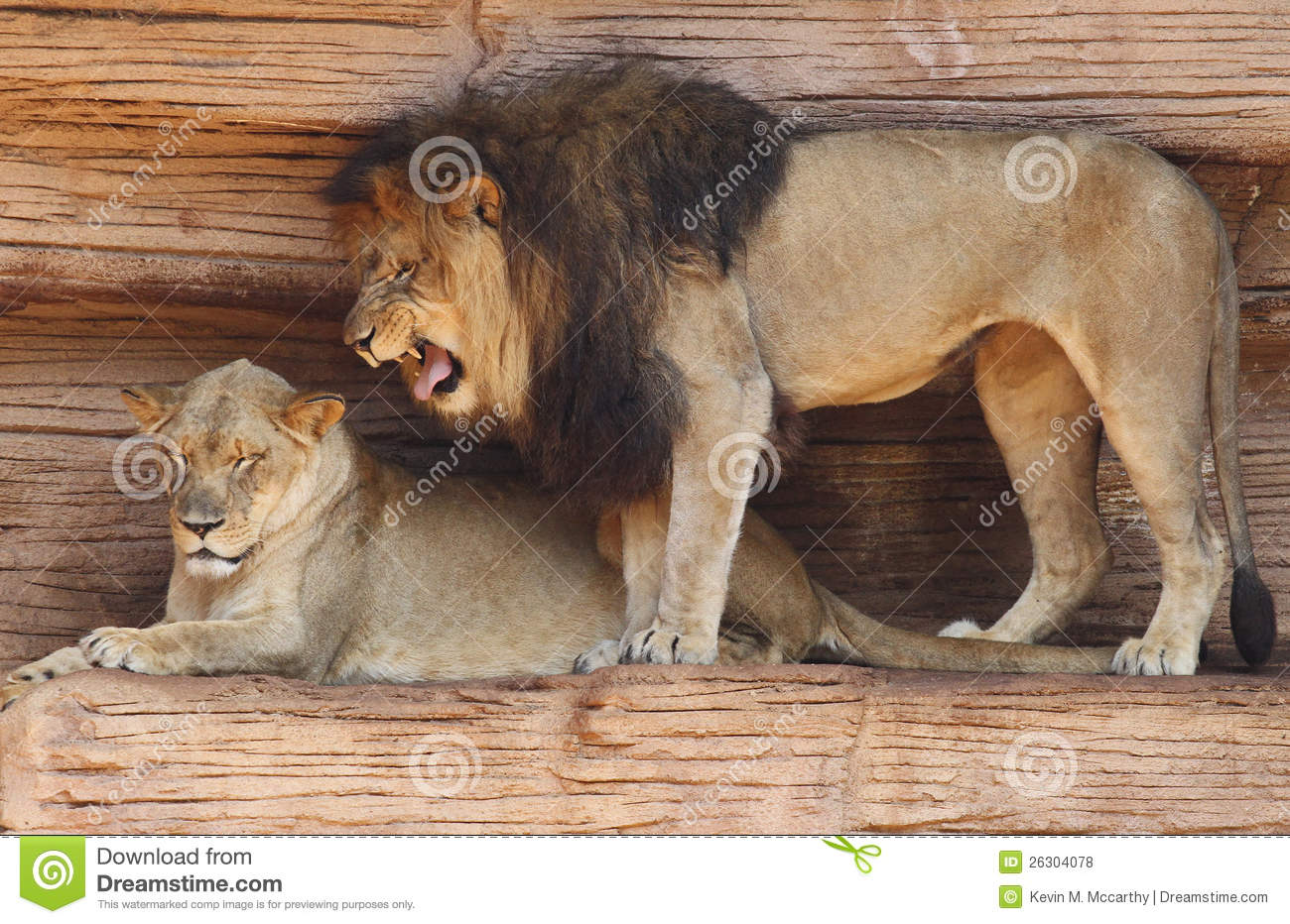 SCI论文重复率高怎么修改【足球赌注软件】(图1) 足球赌注软件APP