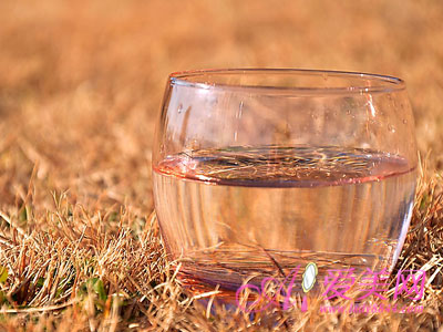 十大足球赌注软件