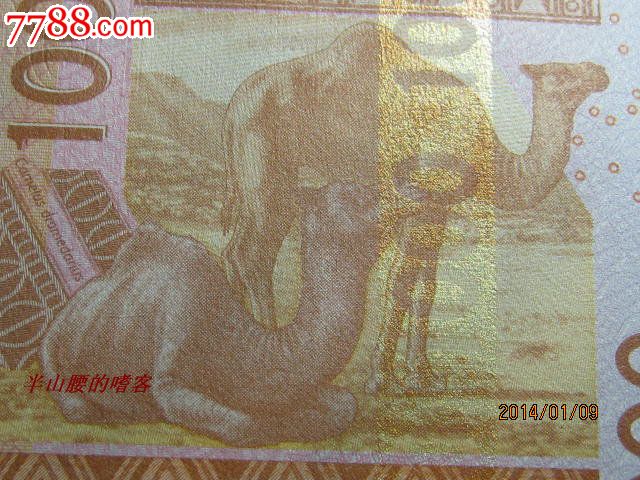 足球赌注软件APP