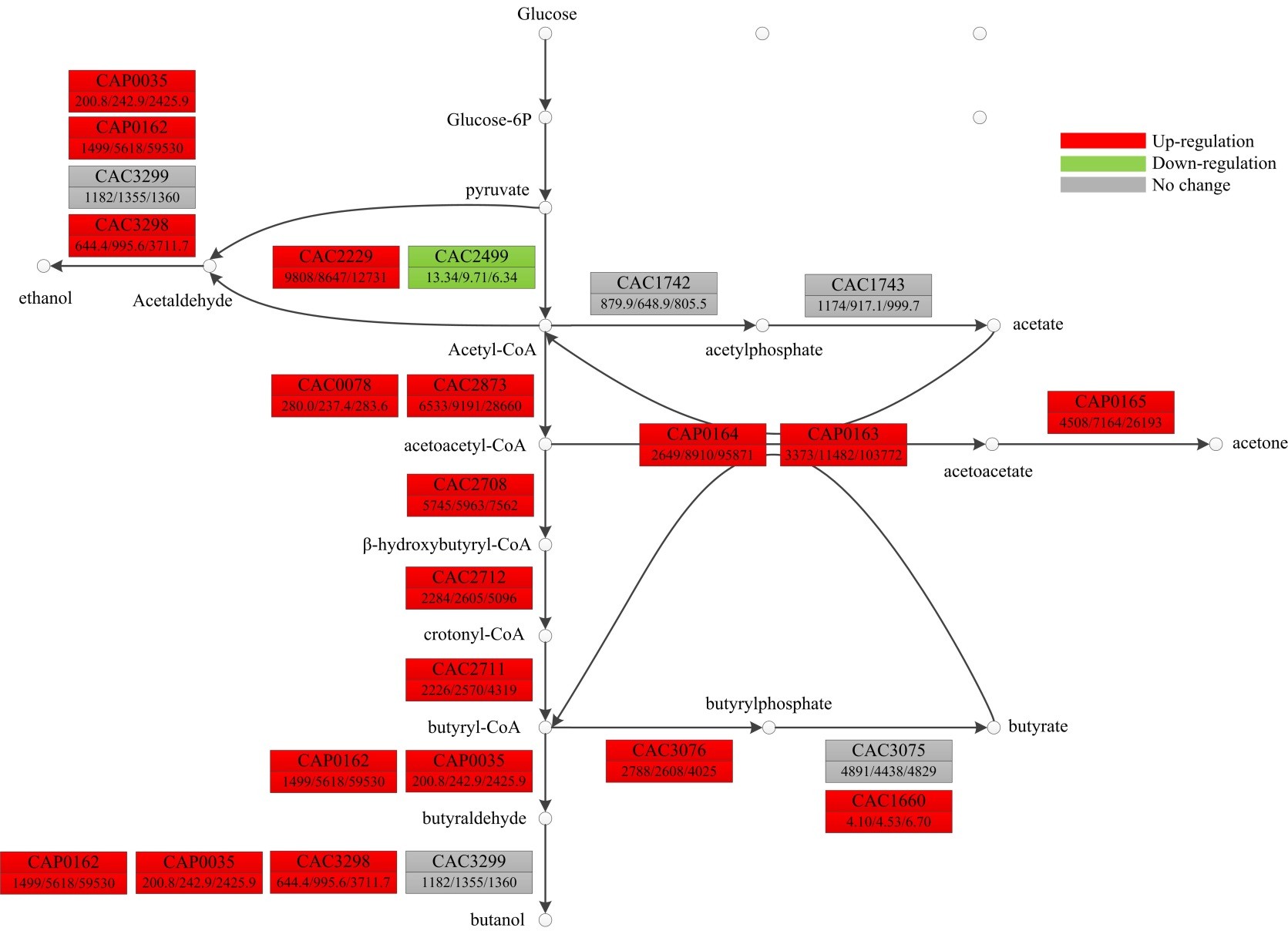 足球赌注软件APP