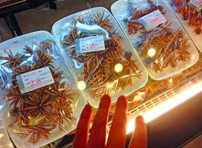 足球赌注软件APP