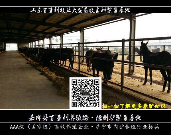 十大足球赌注软件排行榜